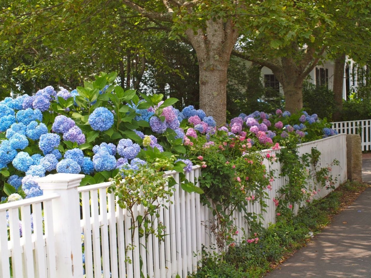 Матиола стильный букет