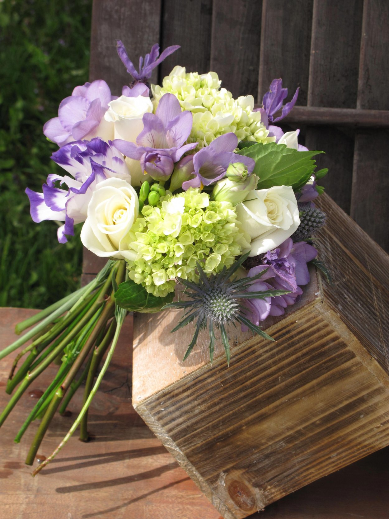 Лаванда на рабатке