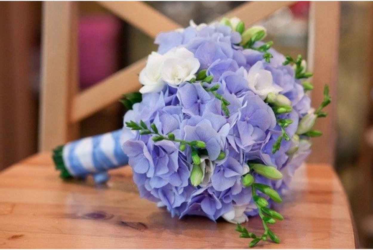 Гортензия в палисаднике