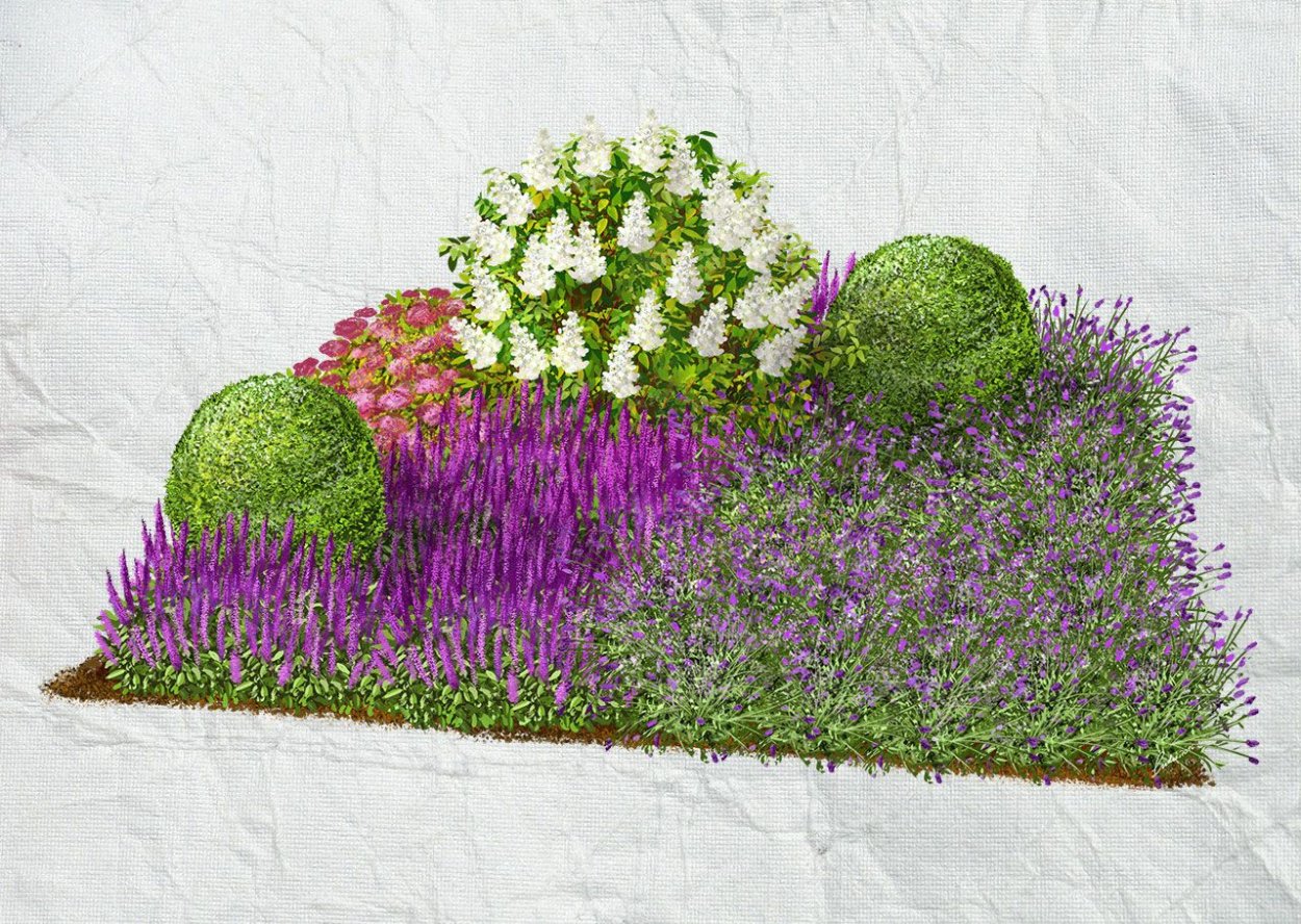 Мавританские газоны рабатка