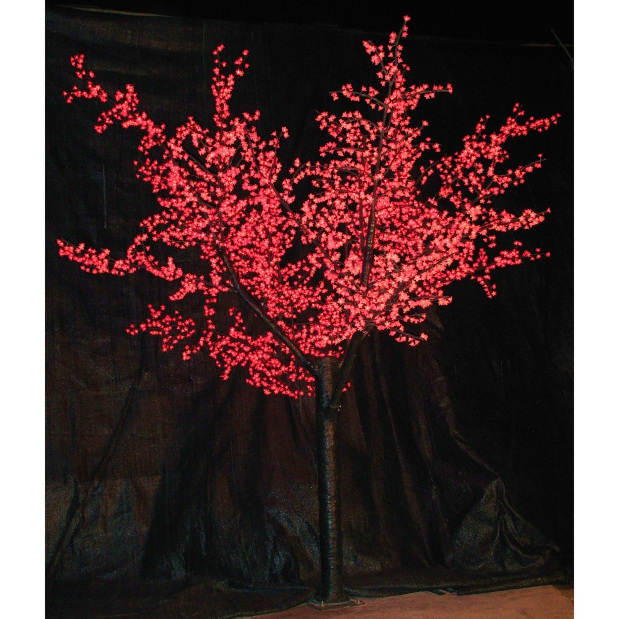 Красная Сакура дерево