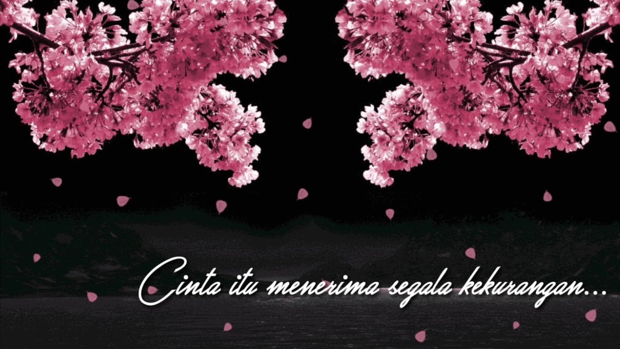 Красивые лепестки Сакуры