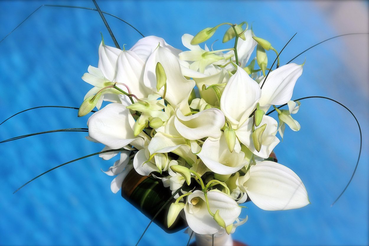 Лилия и каллы букет