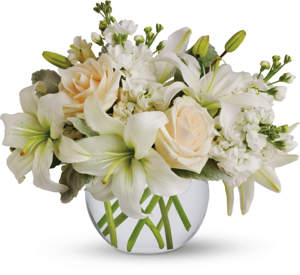 Цветочная композиция на белом фоне