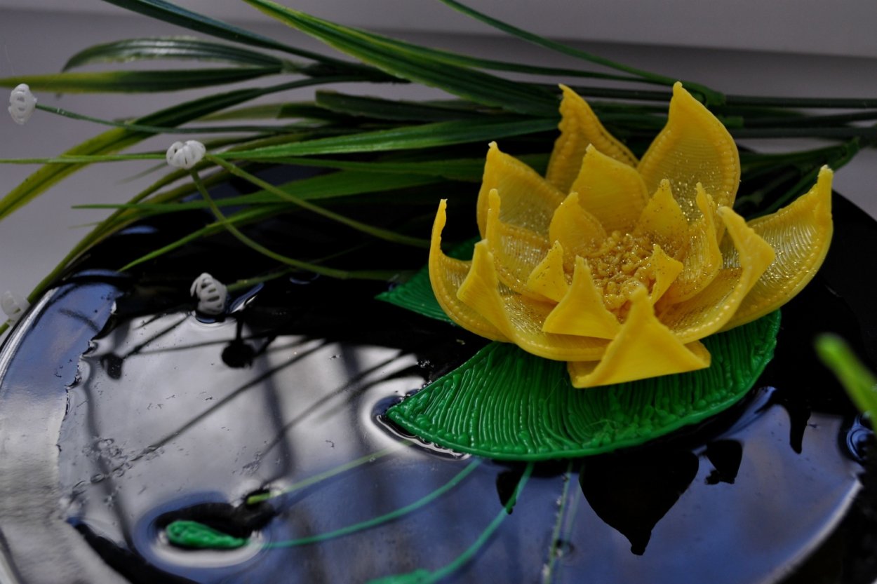 Кувшинки 3д