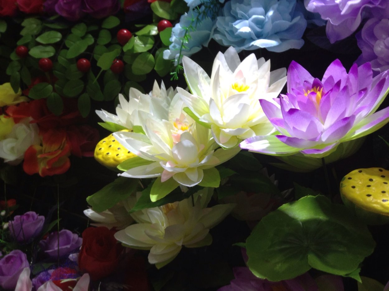 Букет водяных лилий