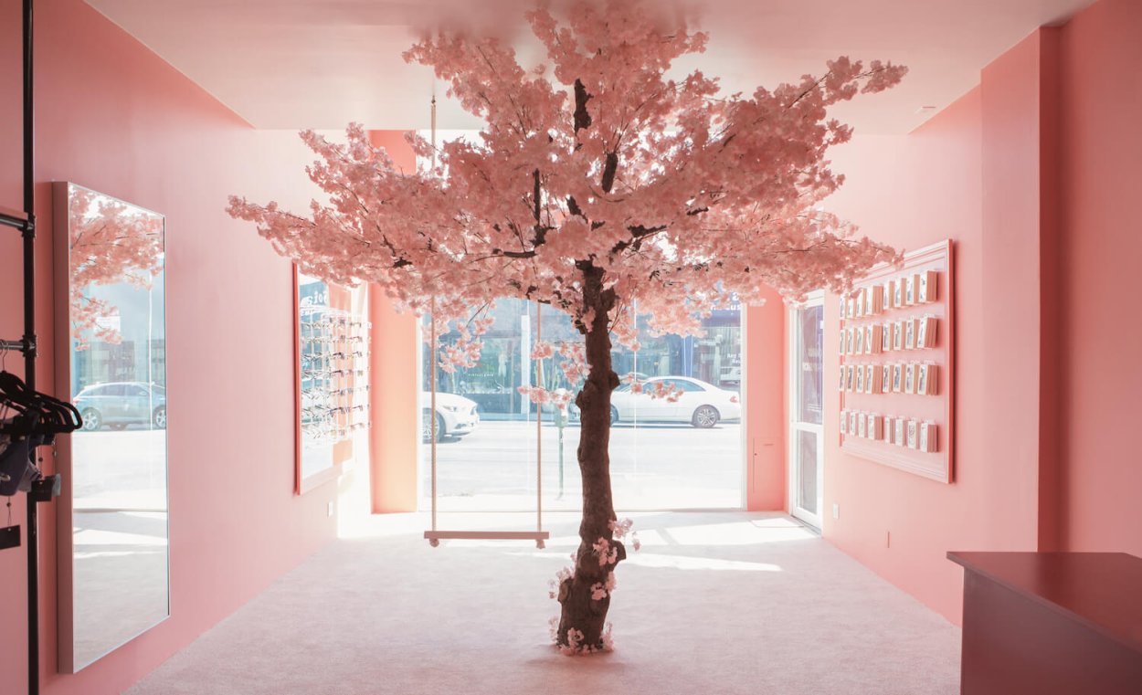 Япония Сакура