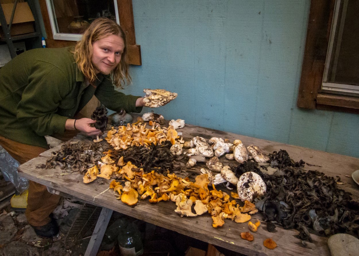 Позднеосенние грибы