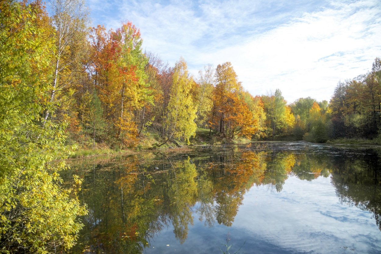 Сабвуфер FBT LS 61a