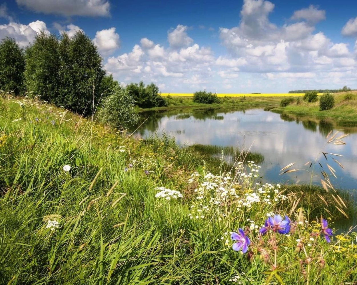 Поздняя осень Англия