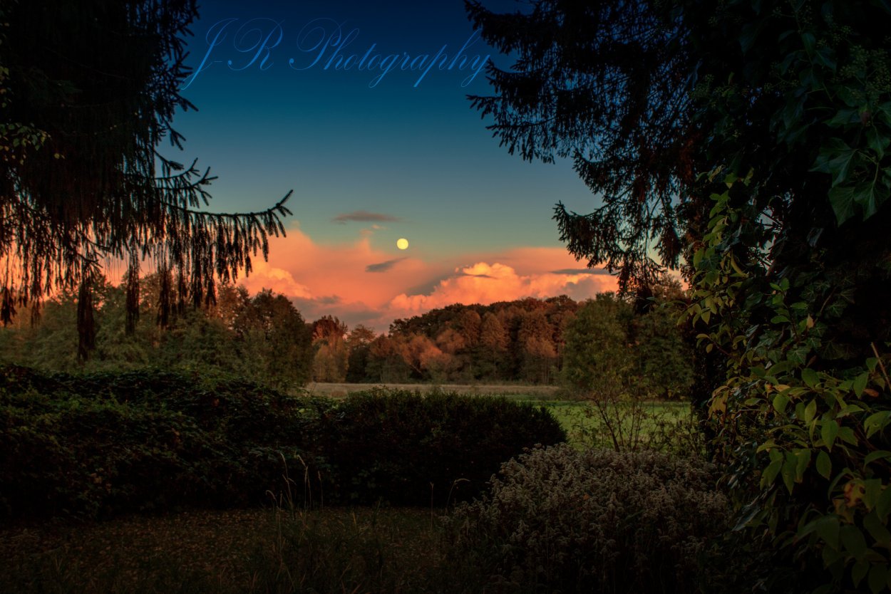 Сумерки Поляна