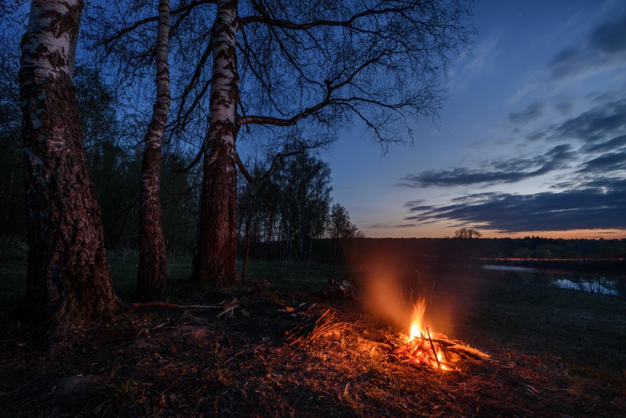Костер в лесу
