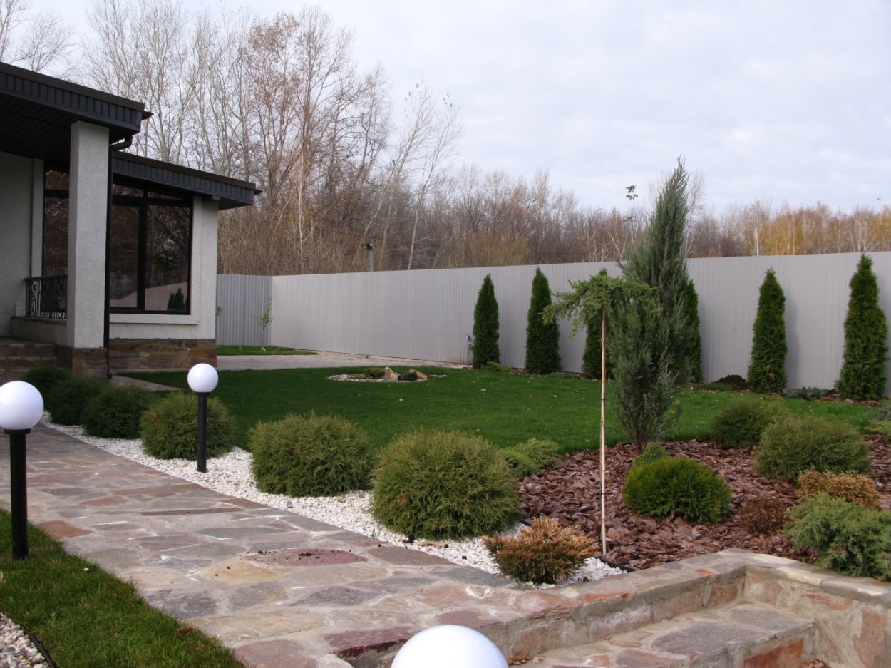 Декоративные растения вдоль забора