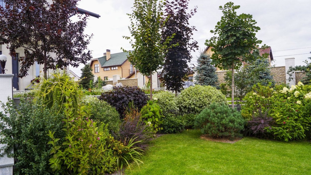 Малоуходный сад Александр Сапелин