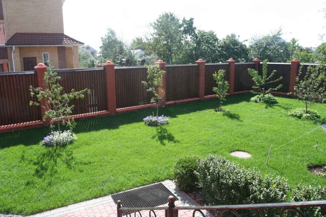 Газон вдоль забора