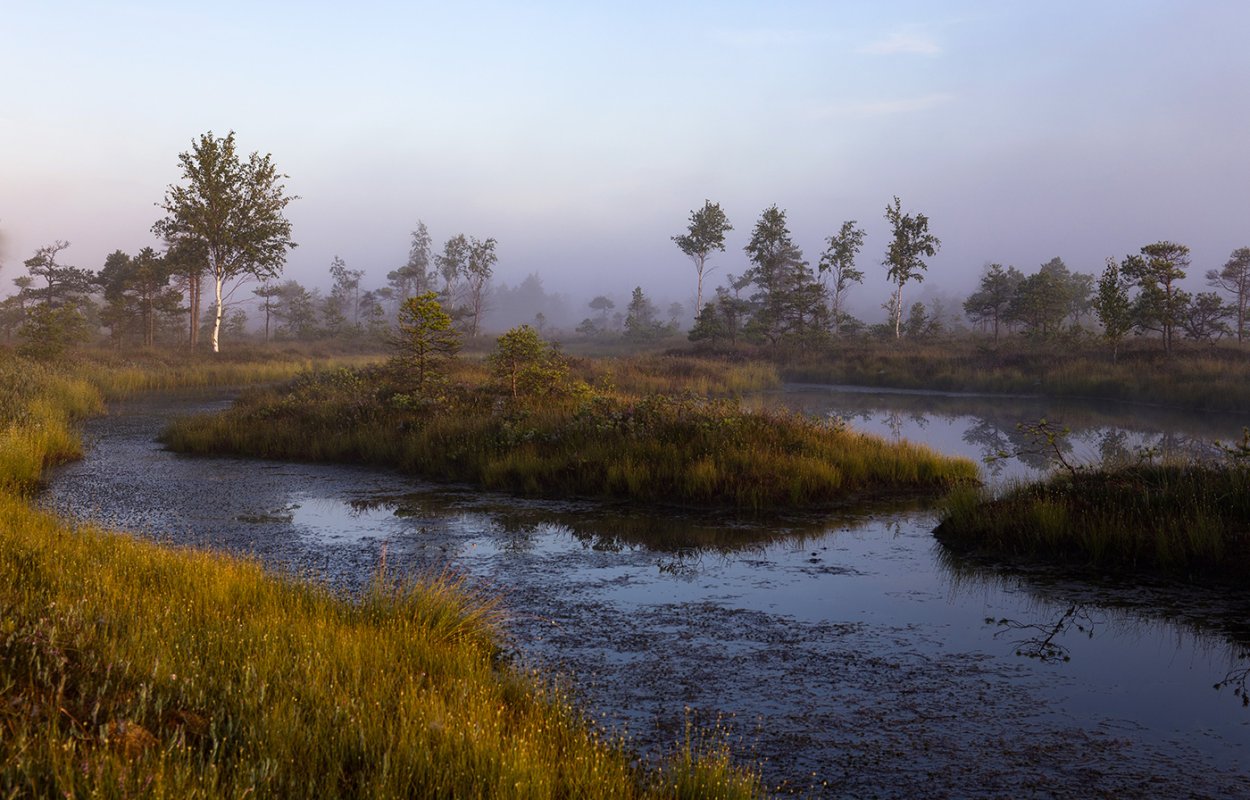 Дарвинский заповедник торфяные острова