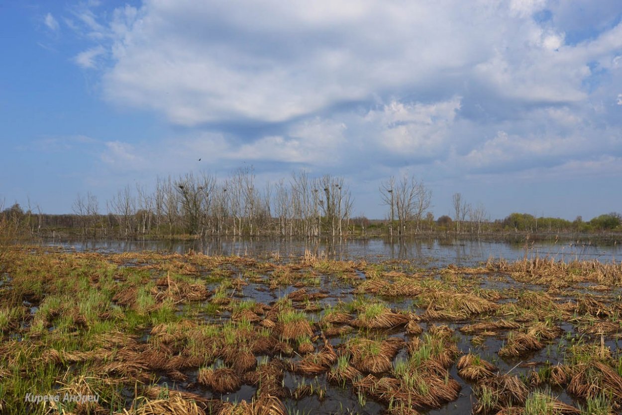 Усинское болото