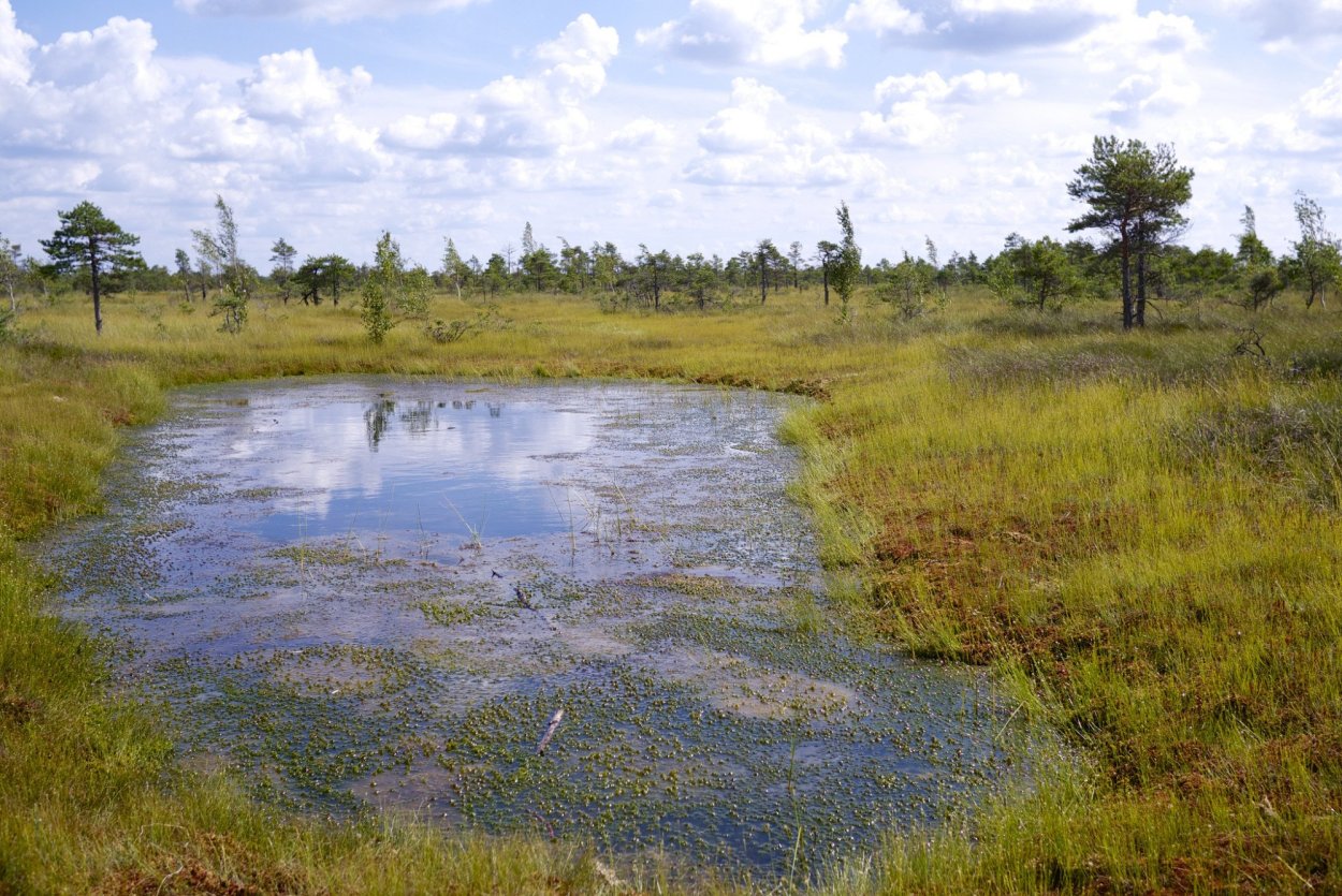 Моховое болото Таганай