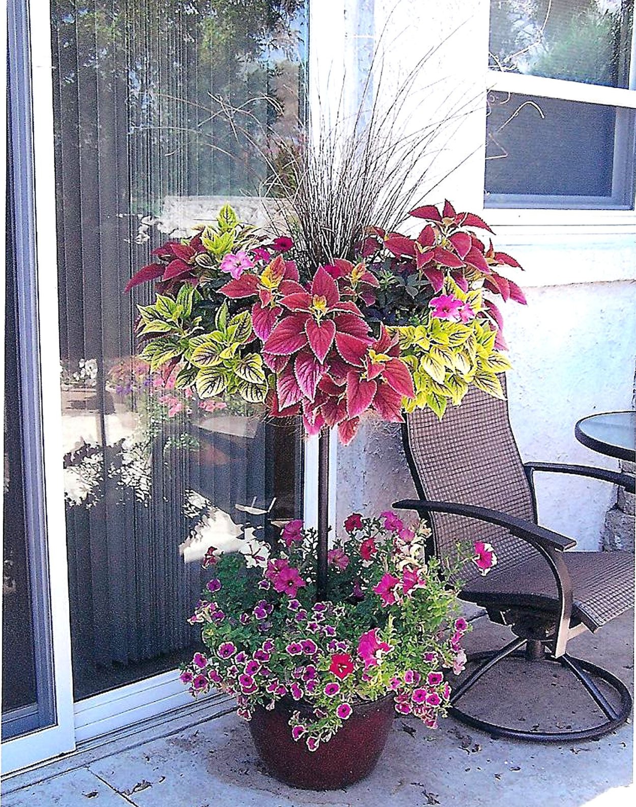 Цветы в горшках на лоджии