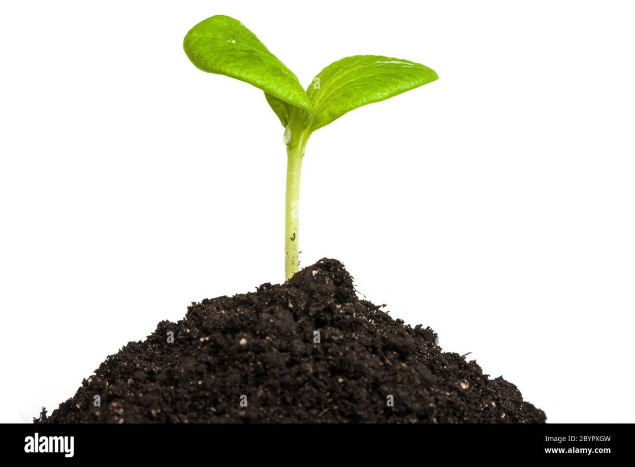 Эстетика коричневого и бежевого