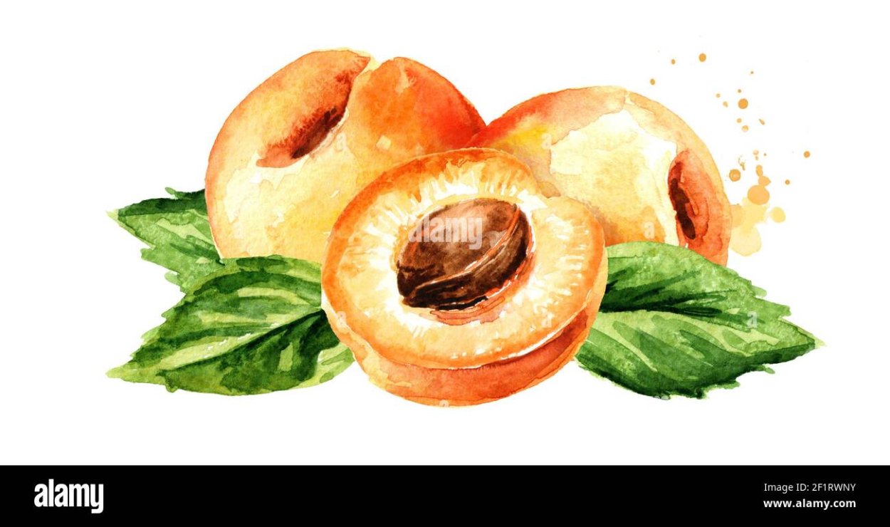 Мультяшные ростки