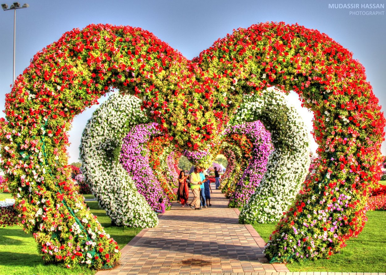 Красивые цветы в мире