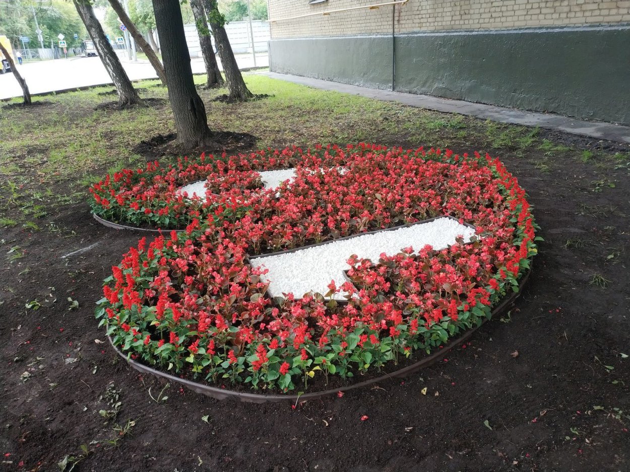 Клумба сердце из цветов