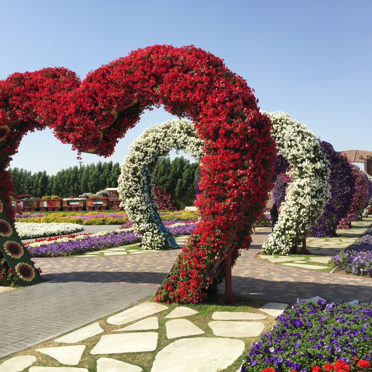 Арабские эмираты Дубай парк цветов