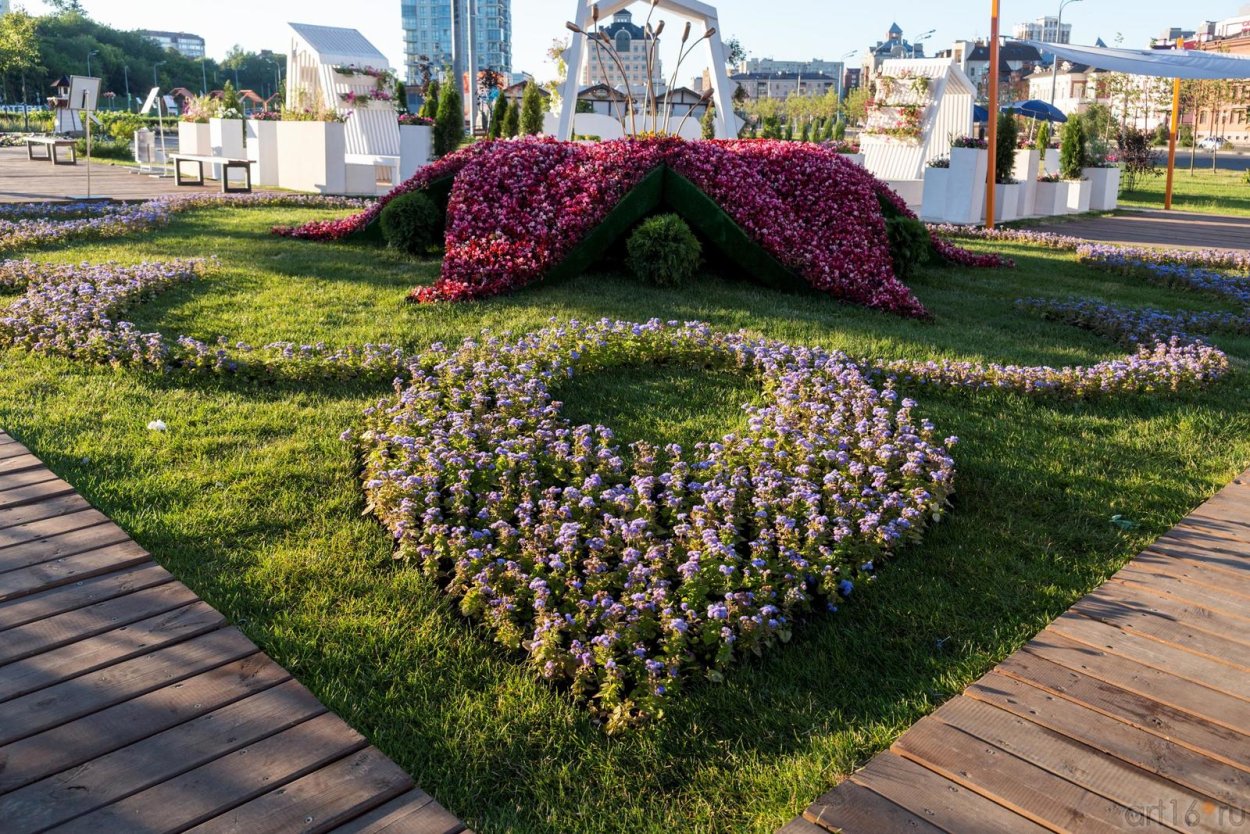 Клумба Казань цветы