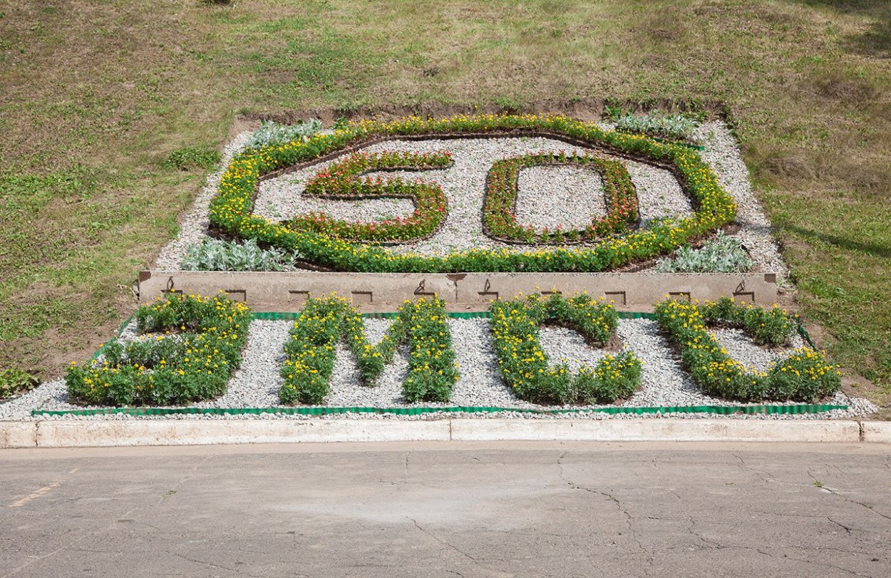 Клумба в виде цифры