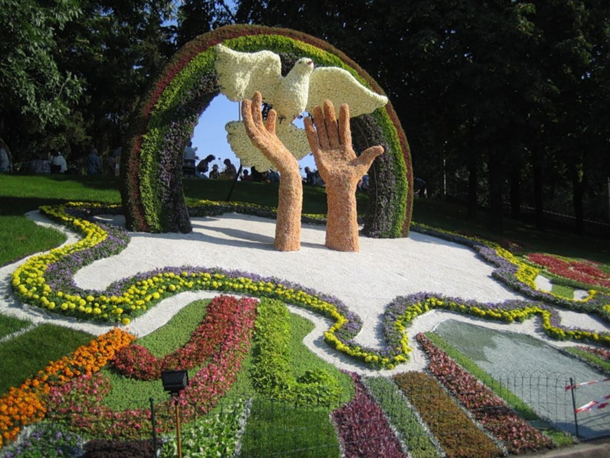 Бархатцы солнышко клумба