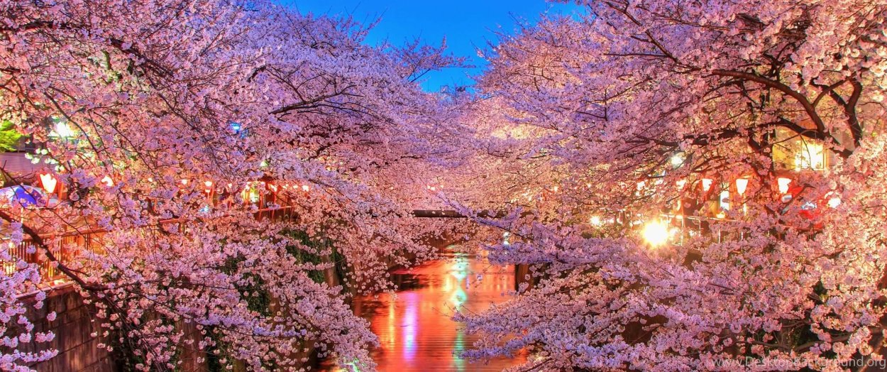 Кристальное дерево Сакура