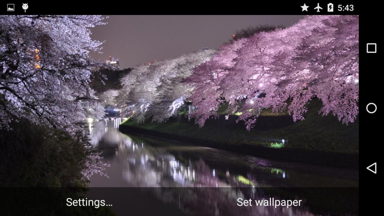 Япония Эстетика Сакура