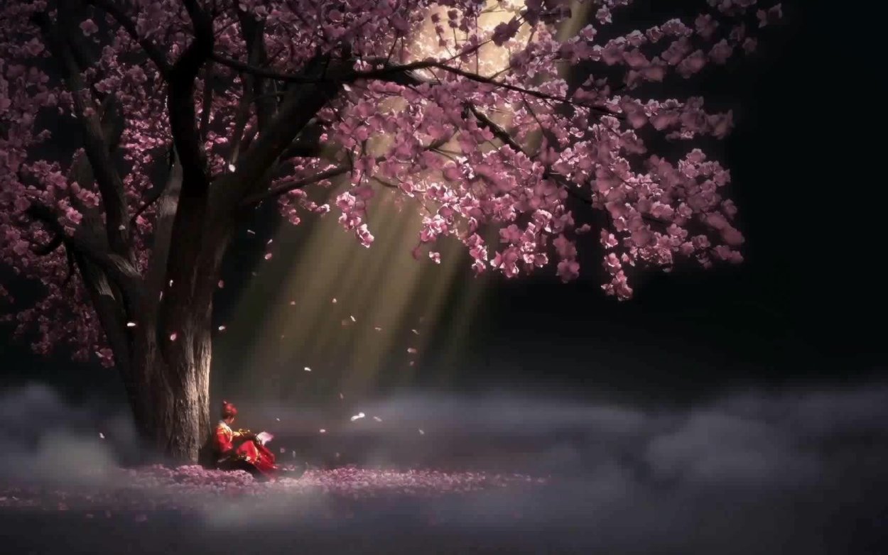 Древесина Сакуры