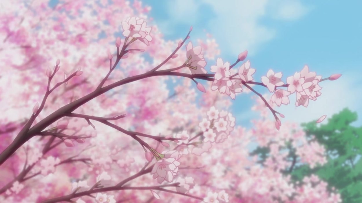 Цветущие сады Сакуры