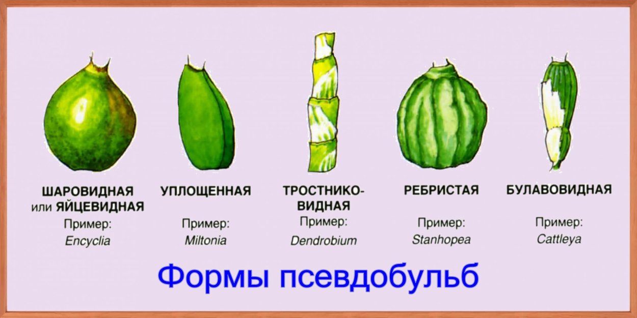 Плазматрон MMG am ls3a