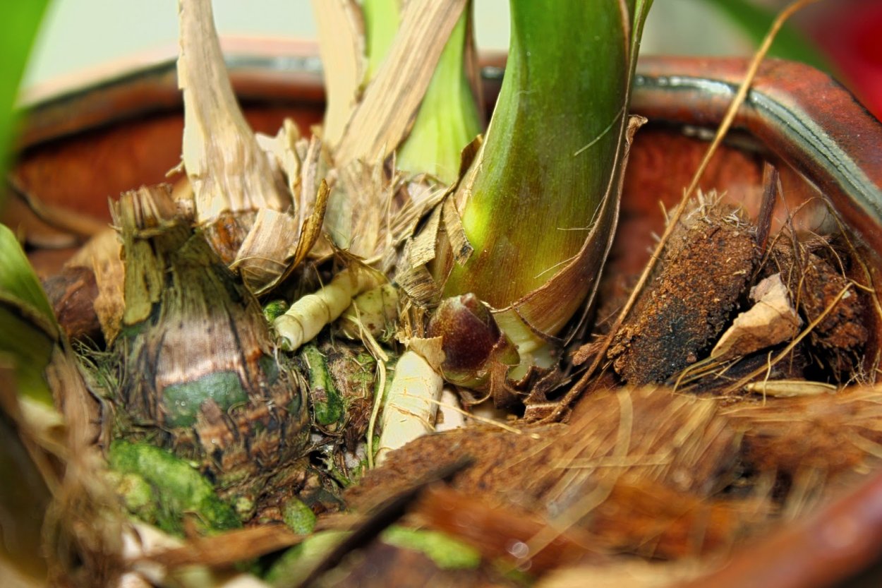 Nn-df383bzpe (инверторная)