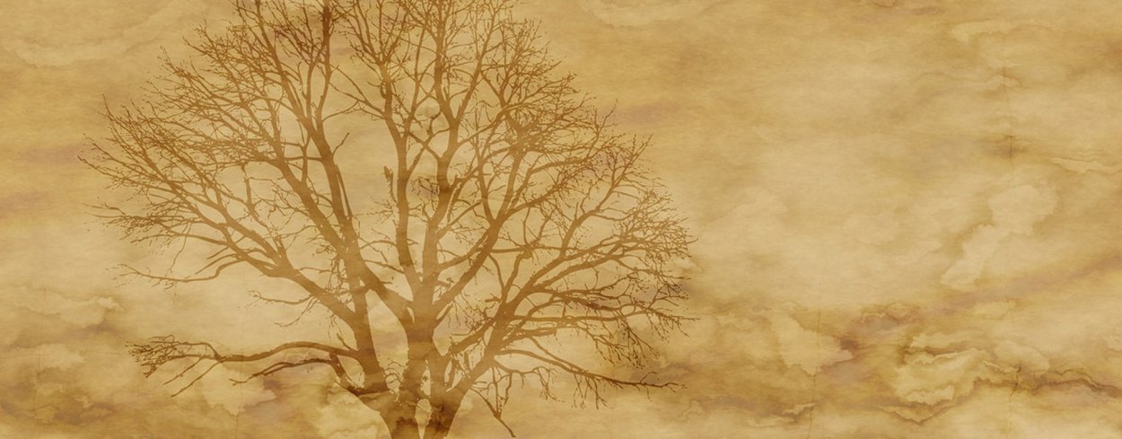 Фон для генеалогического дерева