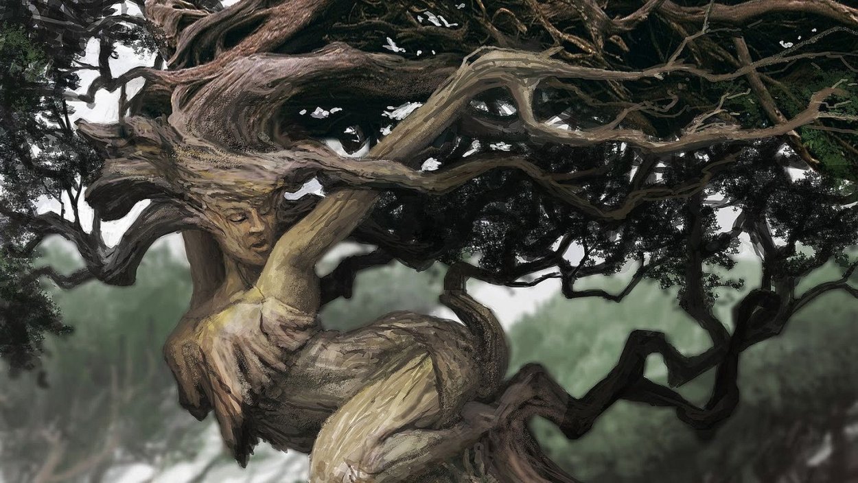 Дриада дерево