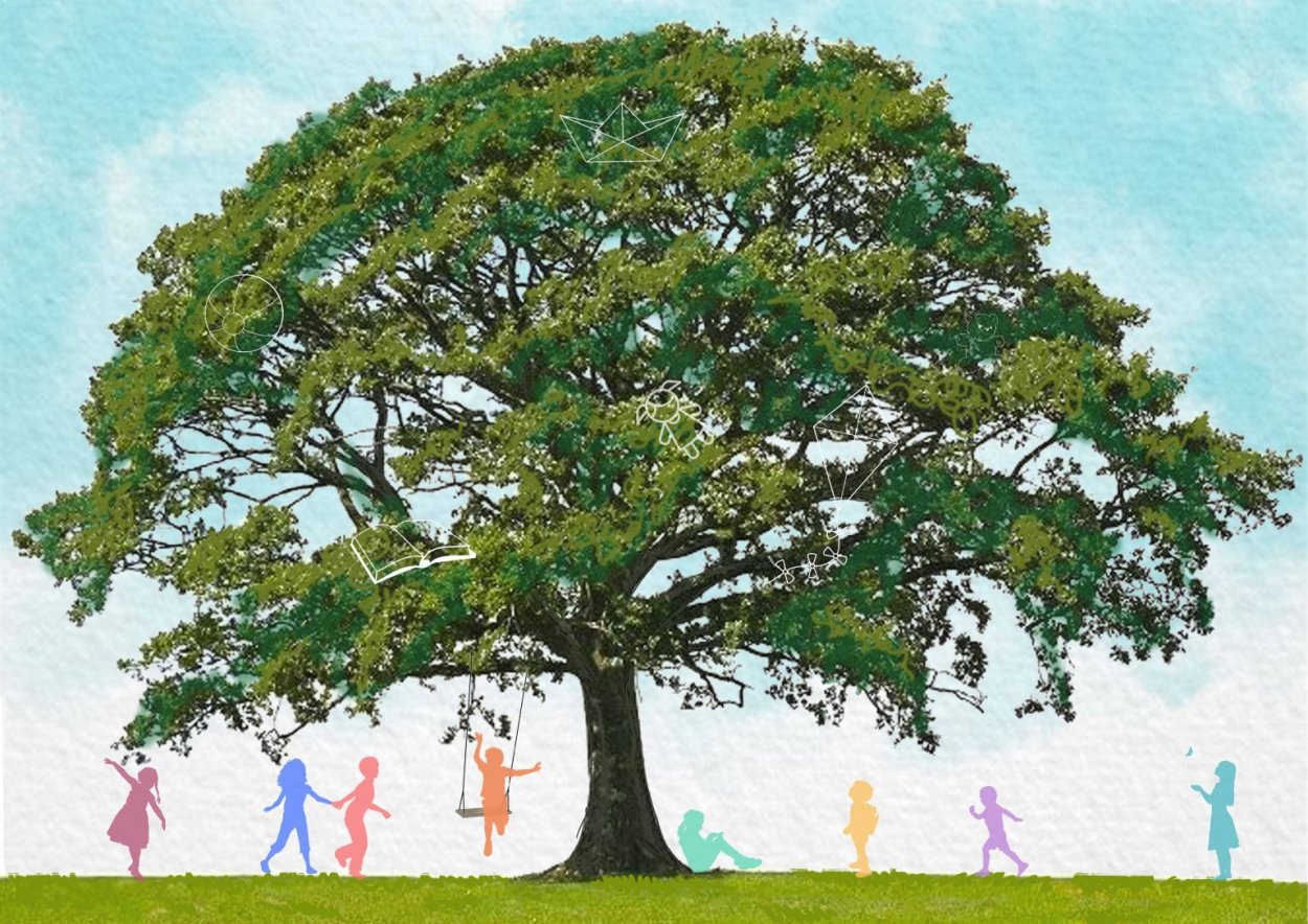 Дерево Франклина картинка на белом фоне