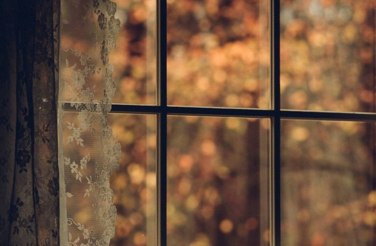 Осень за окном