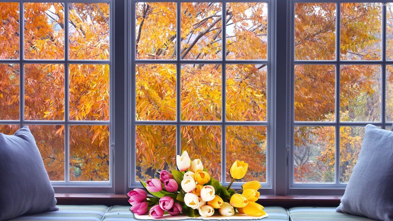 Красивые окна