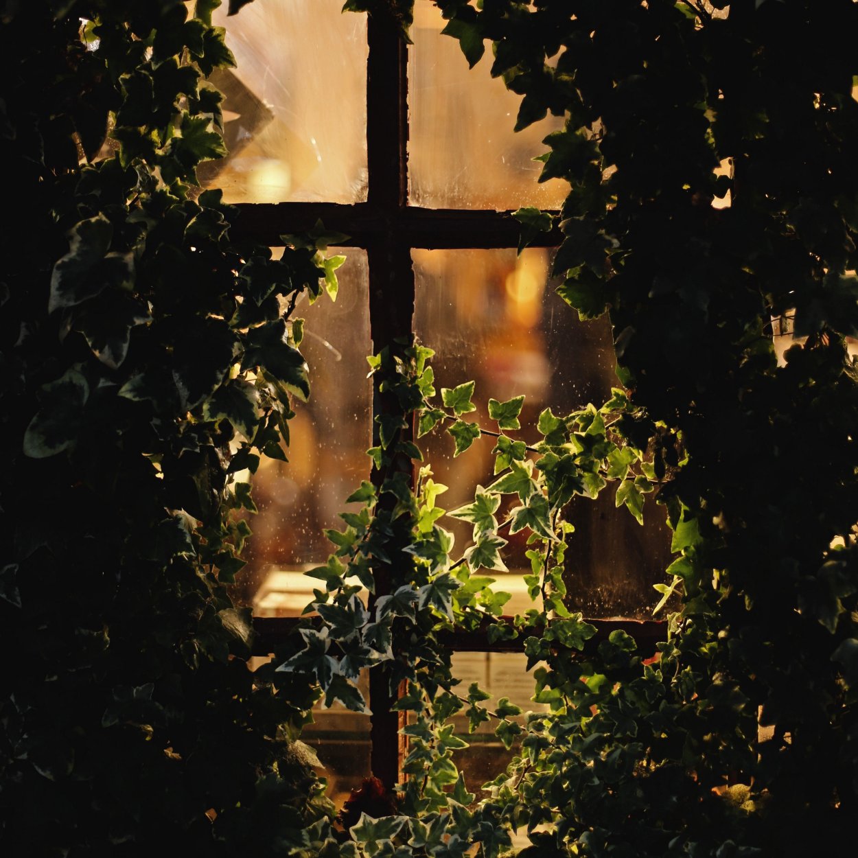 Свет за окном