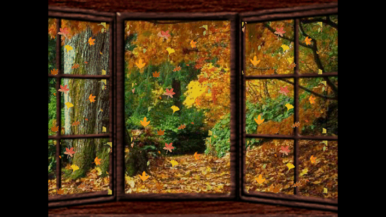 Окно в осенний сад