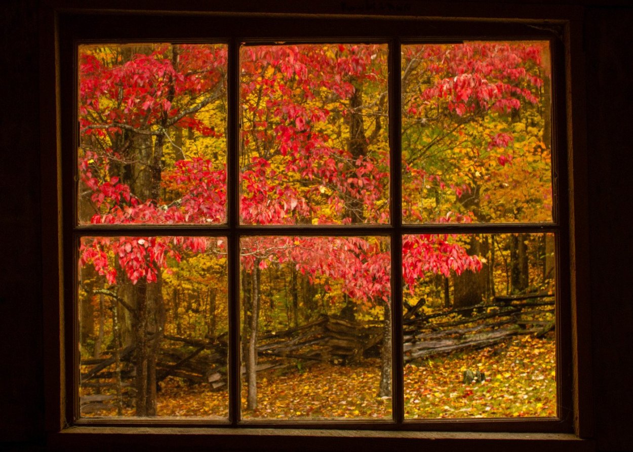 Окно осень