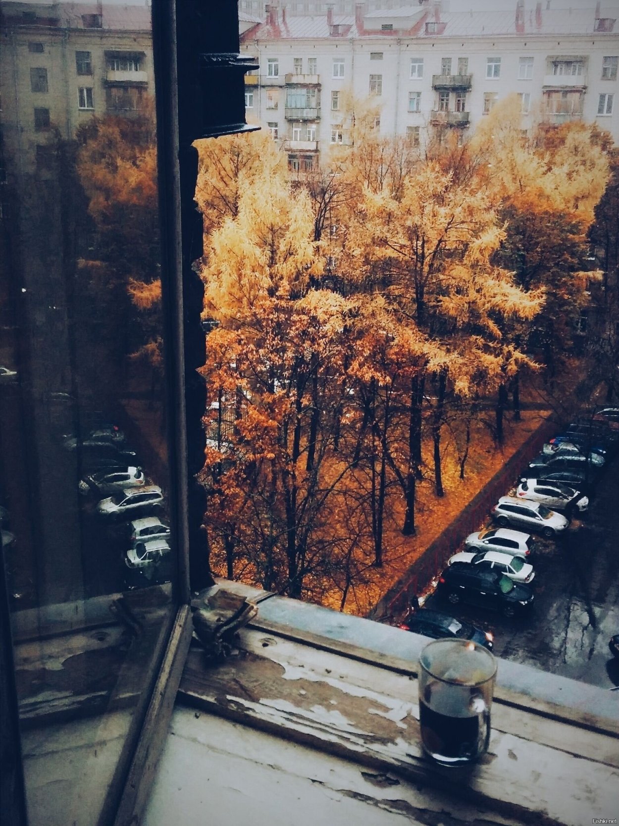 Вид из окна осень
