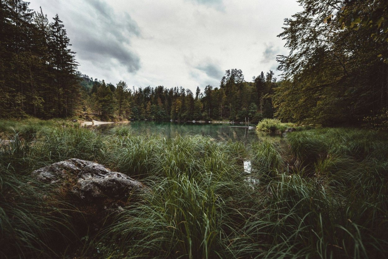 Девочка в лесу спиной