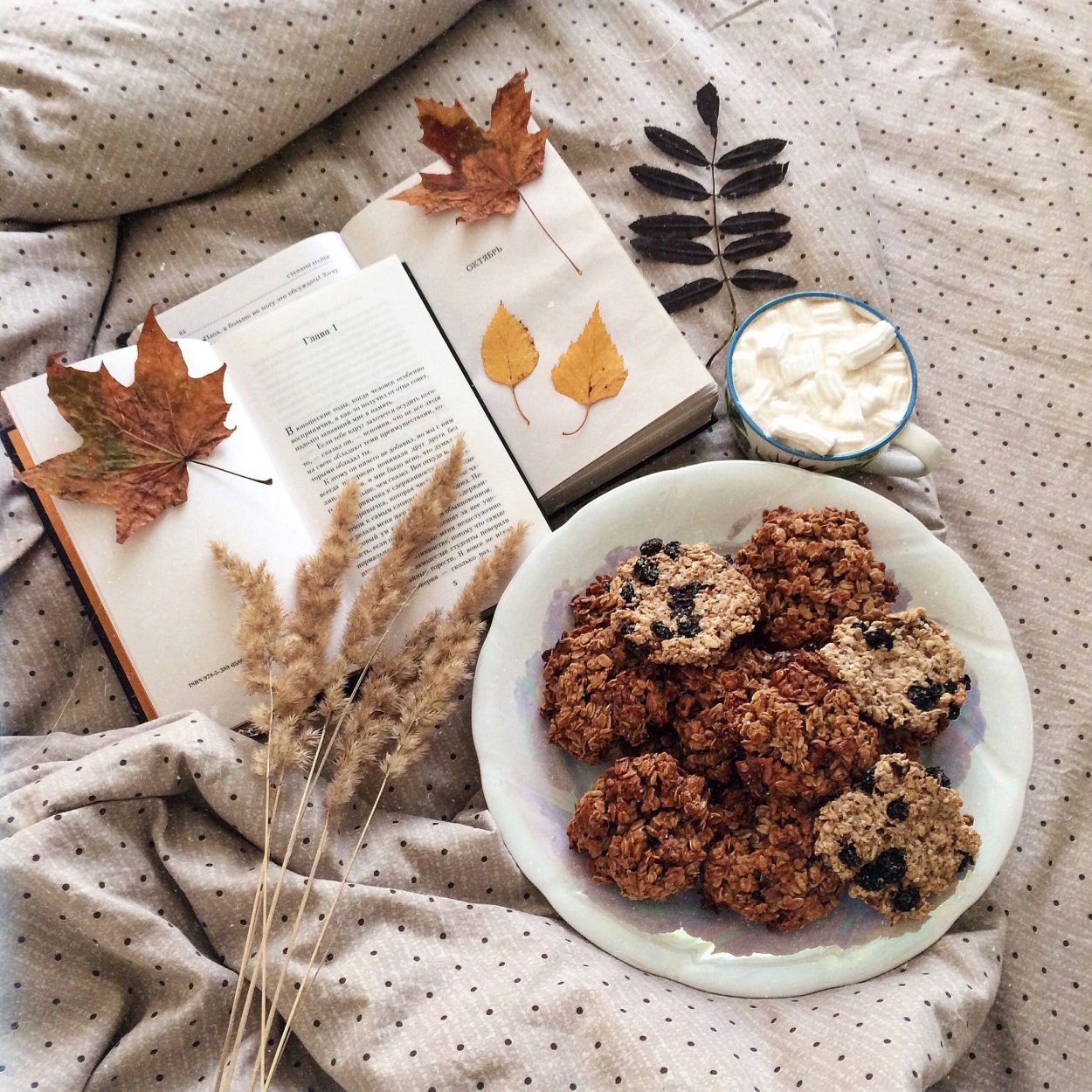 Эстетика осени и коричневого