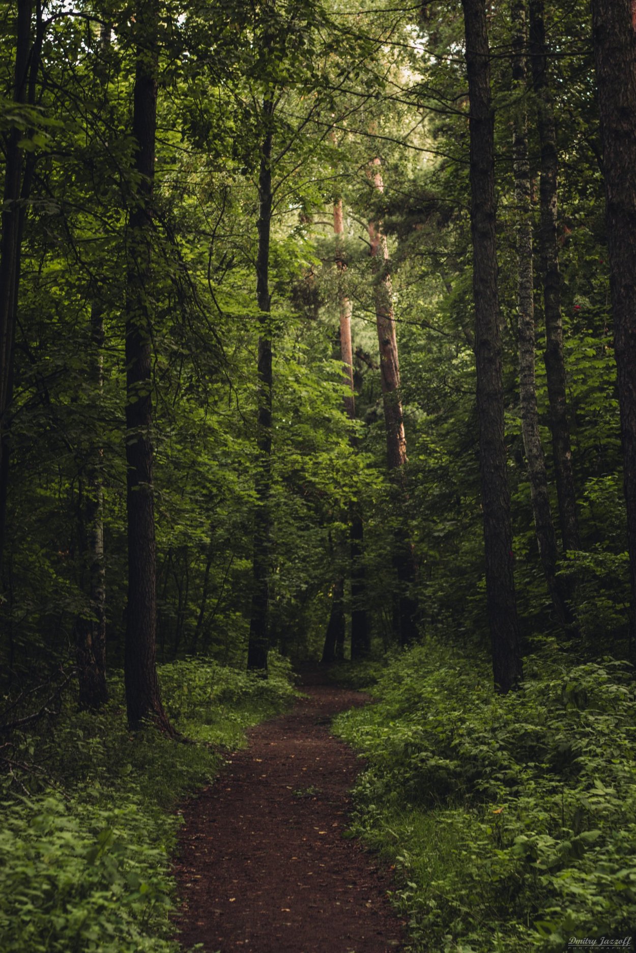 Кристина Скосырская