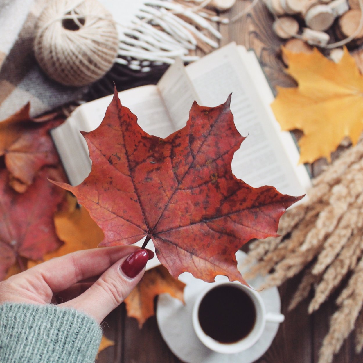 Осенний уют